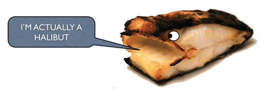 I am a halibut