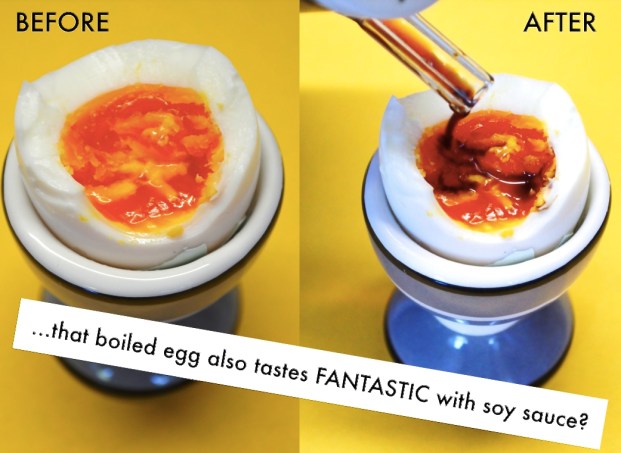 boiled egg with soya